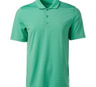 BCG Men’s Micro Stripe Polo Shirt Aqua/Turquoise Light, Large – Mens Golf Shirts at Academy Sports