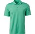 BCG Men’s Micro Stripe Polo Shirt Aqua/Turquoise Light, Large – Mens Golf Shirts at Academy Sports