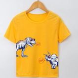 Boys Dinosaur Print Tee