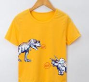Boys Dinosaur Print Tee
