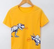 Boys Dinosaur Print Tee