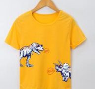 Boys Dinosaur Print Tee