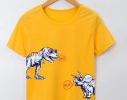 Boys Dinosaur Print Tee