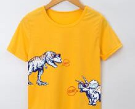 Boys Dinosaur Print Tee