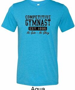 Mens Gymnastics Shirt Competitive Gymnast Tri Blend Crewneck T-Shirt