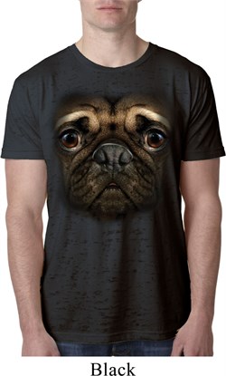 Mens Pug Shirt Big Pug Face Black Burnout Tee T-Shirt