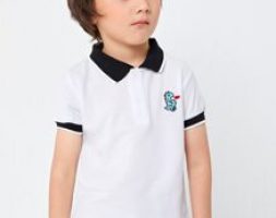 Toddler Boys Cartoon Dinosaur Embroidery Polo Shirt