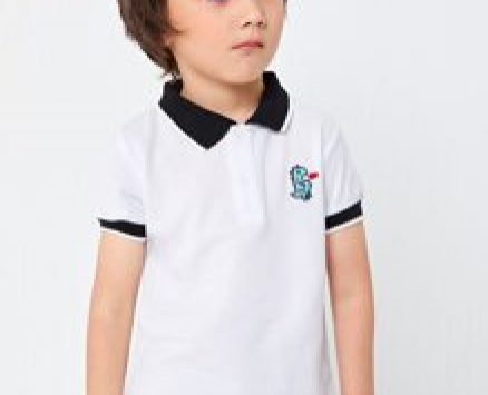 Toddler Boys Cartoon Dinosaur Embroidery Polo Shirt
