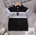 Toddler Boys Cut And Sew Polo Shirt