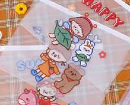 10pcs Cartoon Graphic Random File Bag