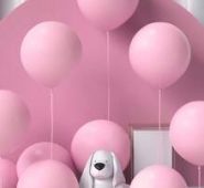 10pcs Solid Color Decoration Balloon