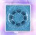 1box Separated Fake Eyelashes