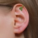 1pair Leaf Design Ear Cuff