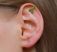 1pair Leaf Design Ear Cuff