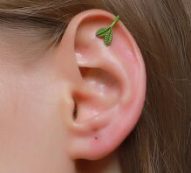 1pair Leaf Design Ear Cuff