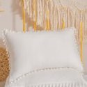 1pair Tassel Decor Pillowcase Without Filler