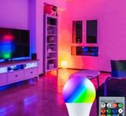 1pc 10W Led Light Bulb With Remote Control