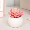 1pc Artificial Potted Succulent Plant