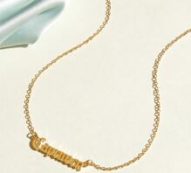 1pc Capricorn Charm Necklace