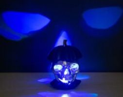 1pc Halloween Skull Shaped Decorative Light