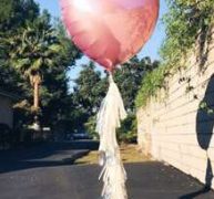 1pc Heart Shaped Balloon
