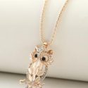 1pc Rhinestone Decor Owl Charm Necklace