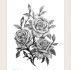 1sheet Flower Pattern Tattoo Sticker