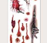 1sheet Halloween Graphic Tattoo Sticker