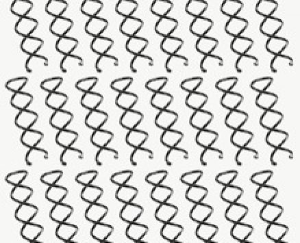 24pcs Spiral Hairpin