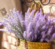 2bunches Artificial Lavender