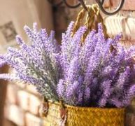 2bunches Artificial Lavender