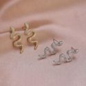 2pairs Snake Earrings