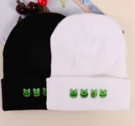 2pcs Frog Embroidery Beanie