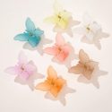 2pcs Random Butterfly Hair Claw