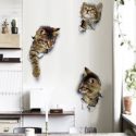 3D Cat Print Wall Sticker