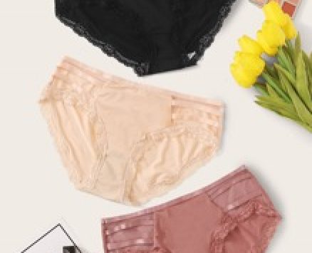 3pack Contrast Mesh Lace Trim Panty Set