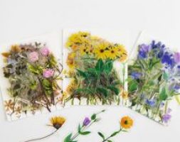 40pcs Random Plant Design Sticker