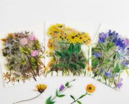 40pcs Random Plant Design Sticker