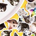 46pcs Cat Print Sticker