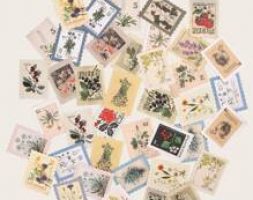 46pcs Plants Pattern Sticker