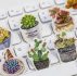 50pcs Plant Print Sticker
