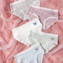 5pack Butterfly Print Lace Trim Panty