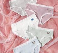5pack Butterfly Print Lace Trim Panty