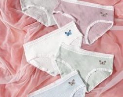 5pack Butterfly Print Lace Trim Panty