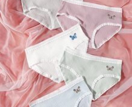 5pack Butterfly Print Lace Trim Panty