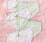 5pack Floral Pattern Lace Trim Panty