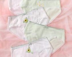 5pack Floral Pattern Lace Trim Panty