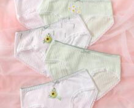 5pack Floral Pattern Lace Trim Panty