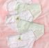 5pack Floral Pattern Lace Trim Panty