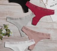 5pack Mesh Trim Panty Set